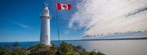 How to Import Kratom Into Canada