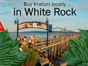 Where to buy kratom locally in White Rock