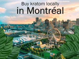 Where to buy kratom locally in Montreal