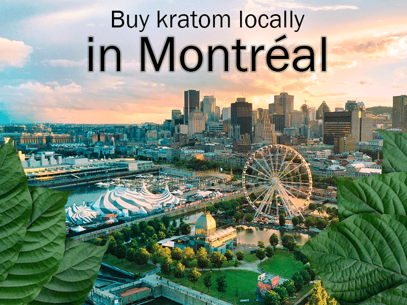 Where to buy kratom locally in Montreal