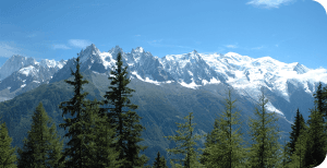 About BC Kratom - trusted Canadian kratom supplier