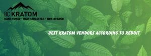 banner of Best Kratom Vendors According To Reddit