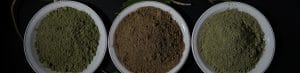 image of what are the kratom strains that I can get