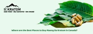 banner of where are the best places to buy maeng da kratom in canada
