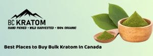 banner of best places to buy bulk kratom in canada