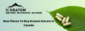 banner of best places to buy kratom extract in canada