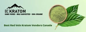 banner of best red veinn kratom vendors canada