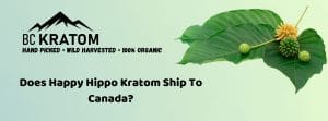 banner of does happy hippo kratom ship to canada
