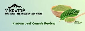 banner of kratom leaf canada review