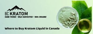 banner of where to buy liquid kratom in canada