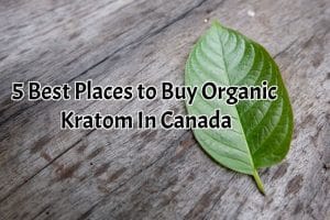 banner of 5 best places to buy organic kratom in canada