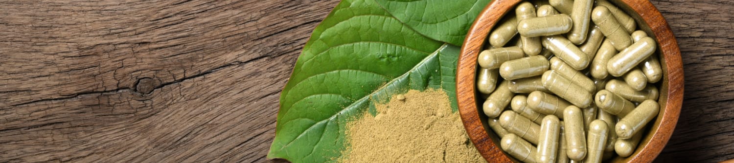 image of maple leaf kratom