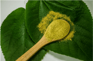 White Sumatra kratom powder close-up — smooth white vein strain Canada